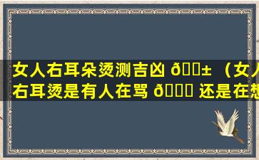 女人右耳朵烫测吉凶 🐱 （女人右耳烫是有人在骂 💐 还是在想）